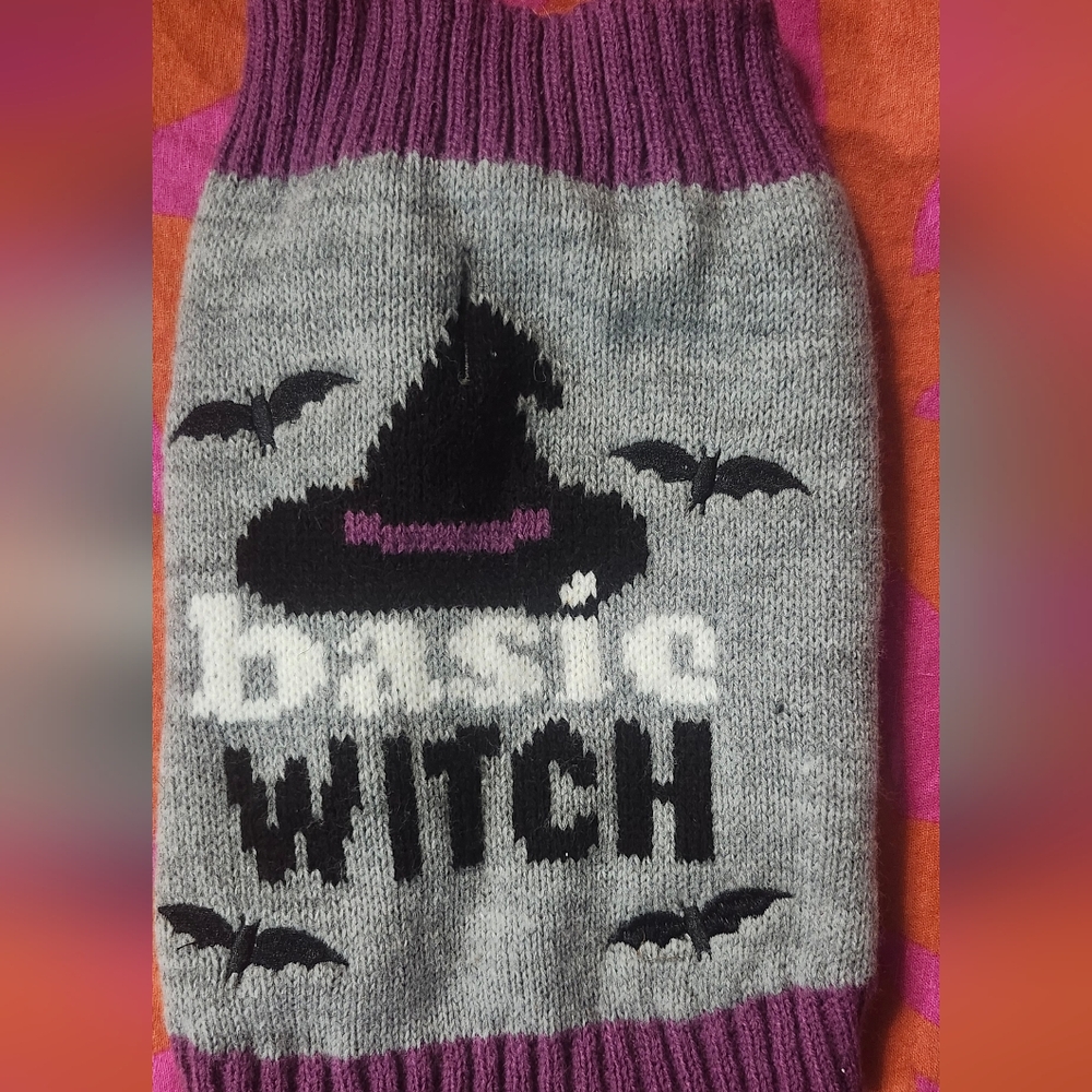 Gray and Purple Witch Sweater for small dog